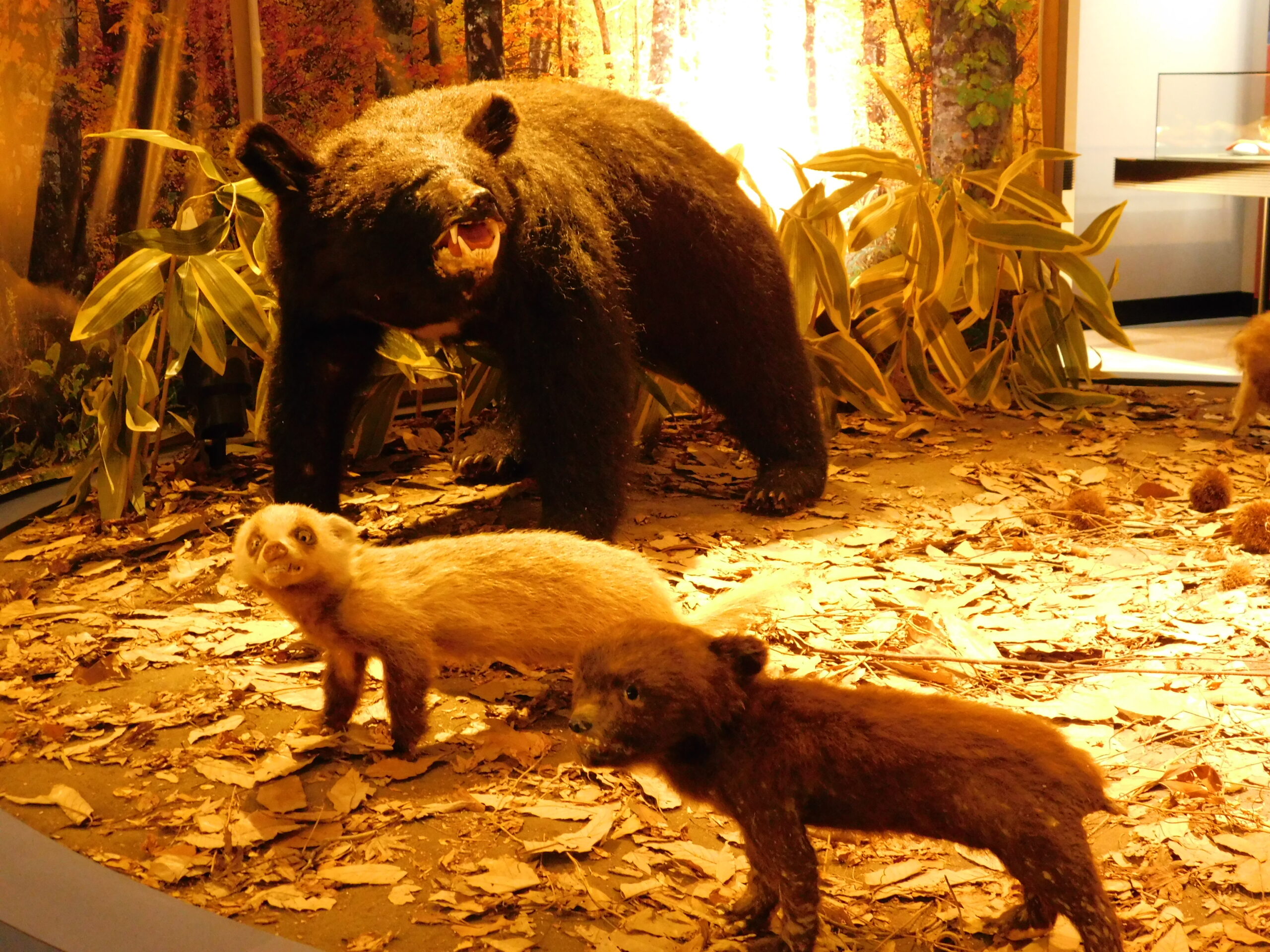 北秋田の美しい自然 1