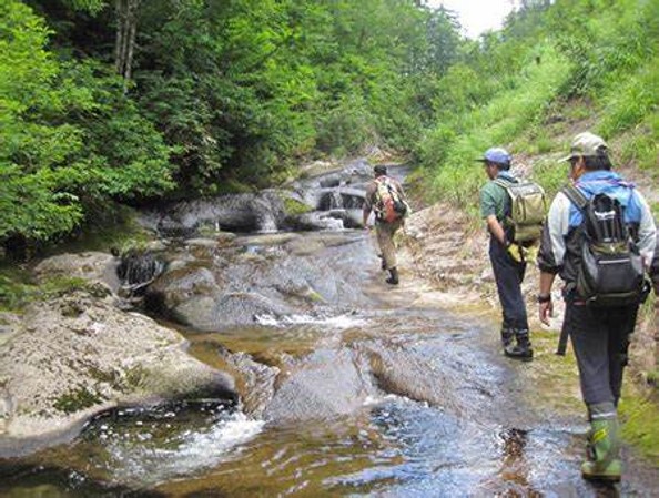 マタギと森を歩くイメージ 1
